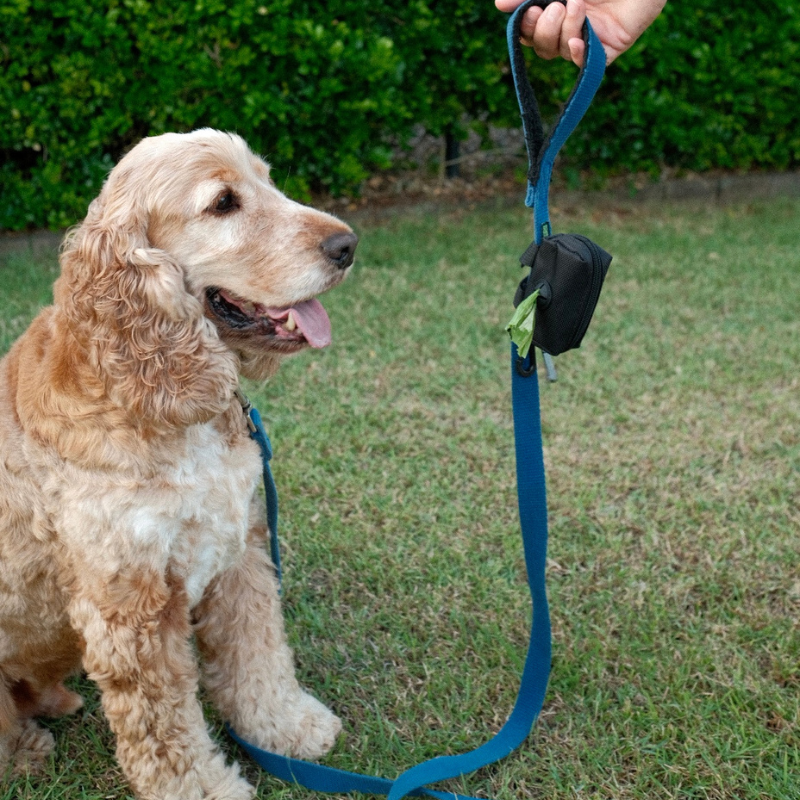 Luv'n MyPet™ DoggieDoo Bag Dispenser